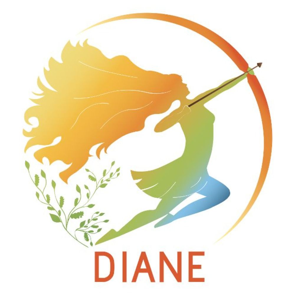 Diane-Intranot