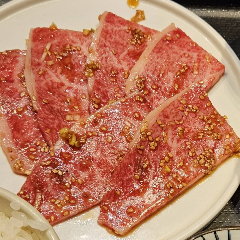 肉食べたい。(りょはだお！)