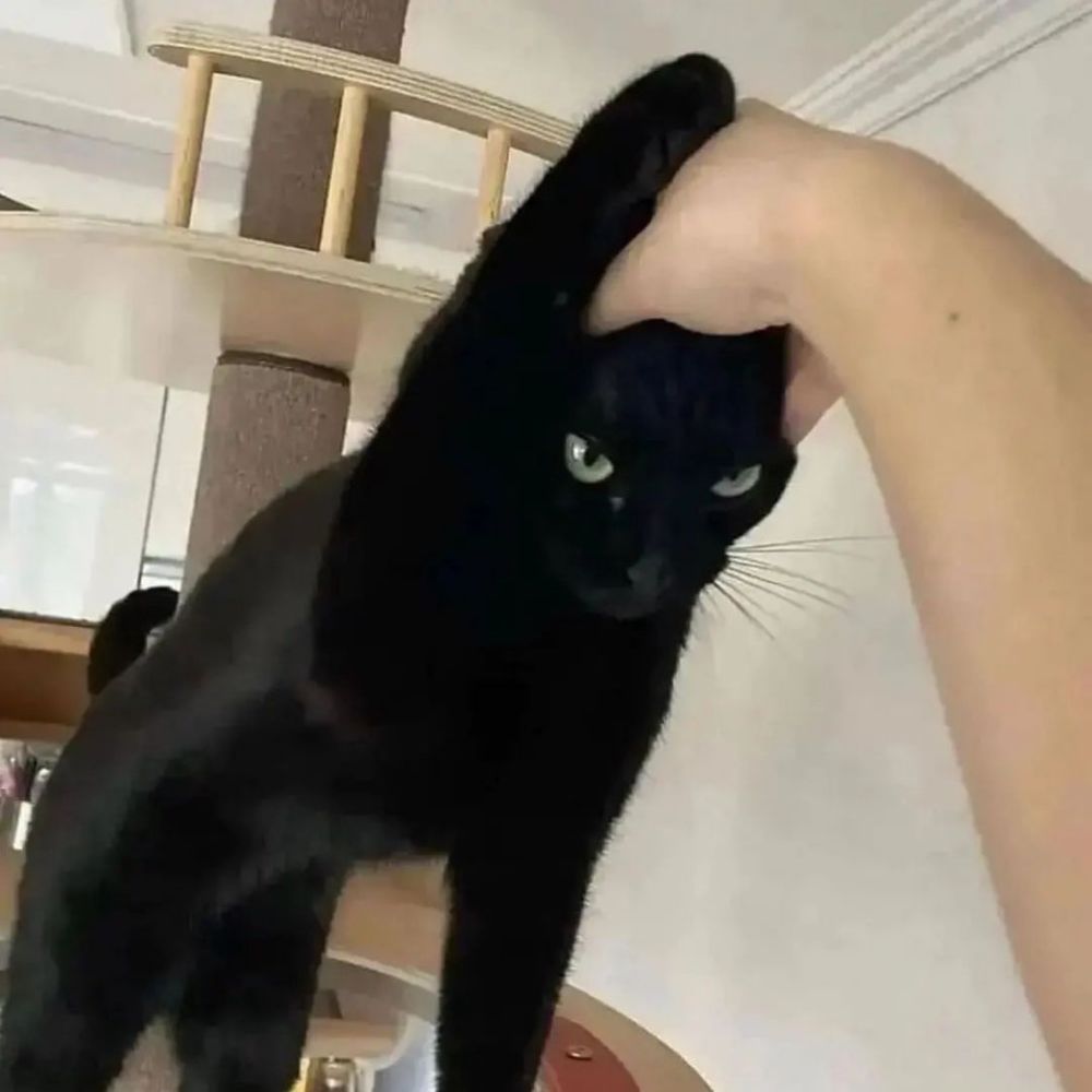 PBeee (⁠｡⁠•̀⁠ᴗ⁠-⁠)⁠✧