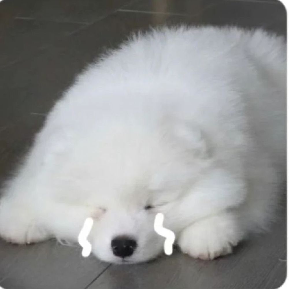 아침