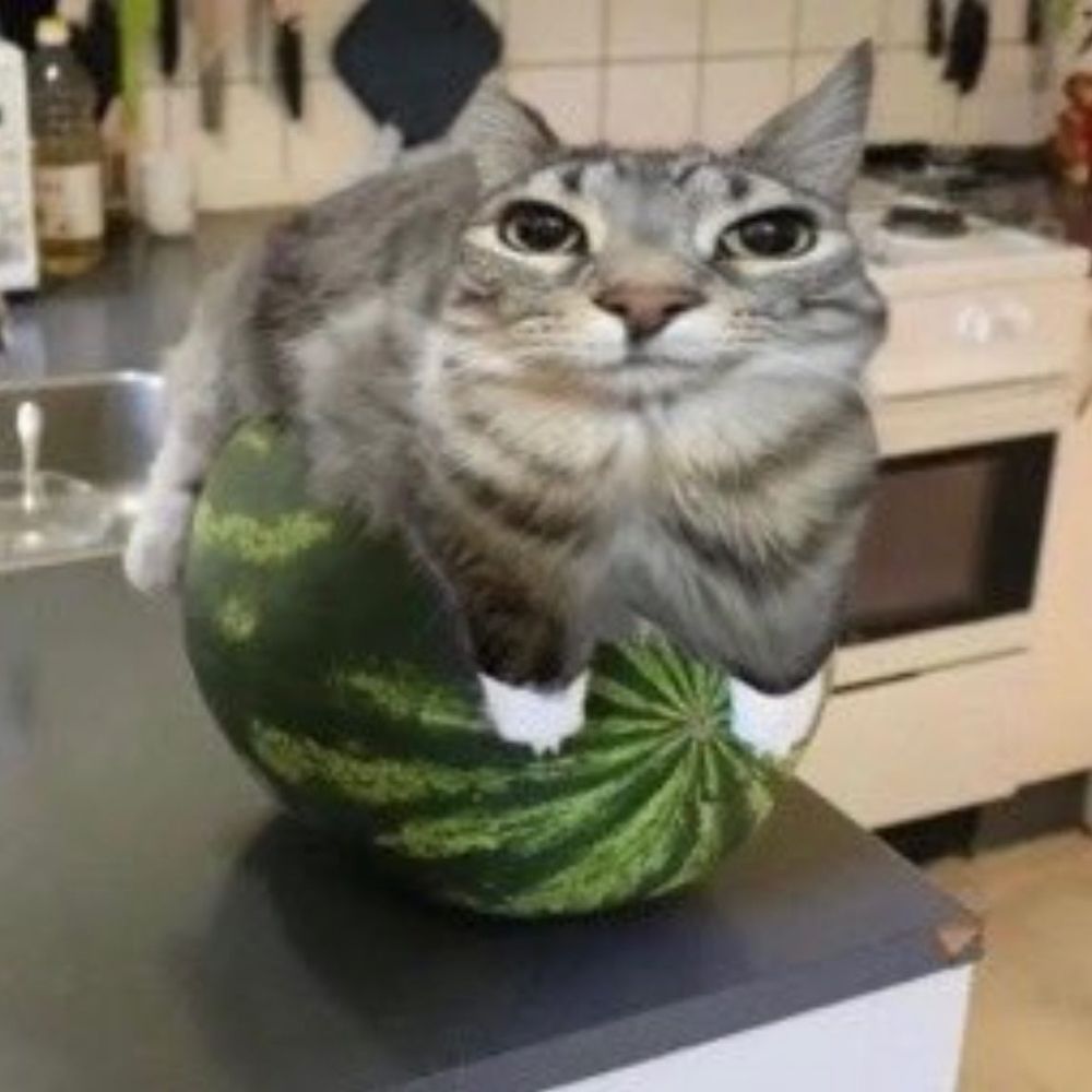 𝕲𝖚𝖎𝖌𝖔 𒉭 