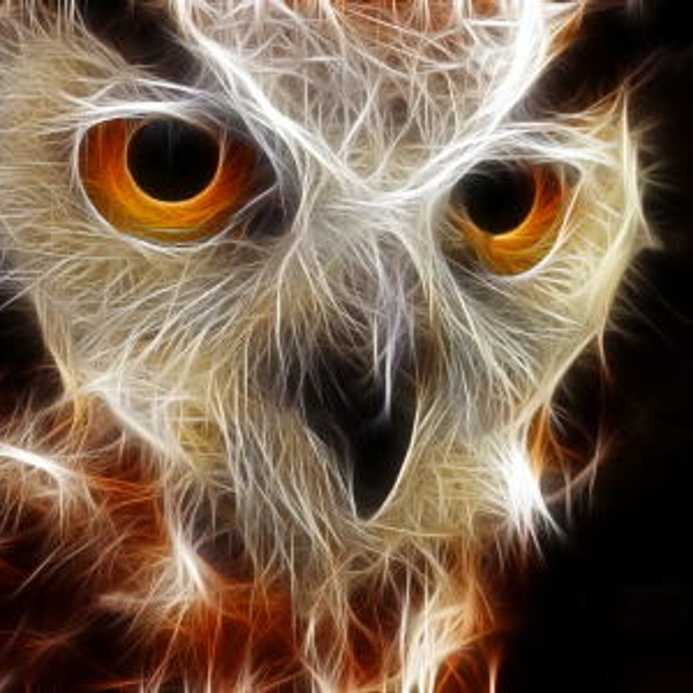 wild-life-ranger