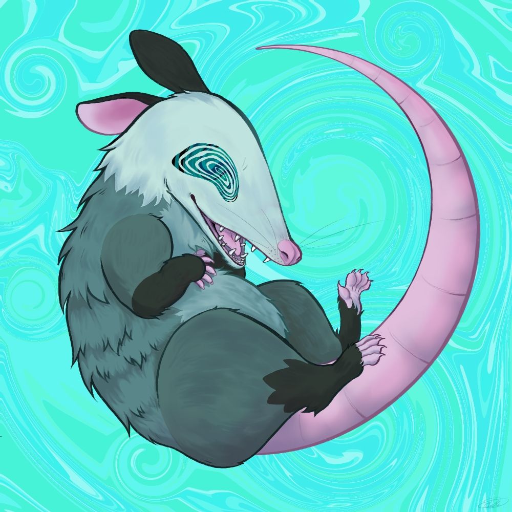 DeadPossum.bsky.social