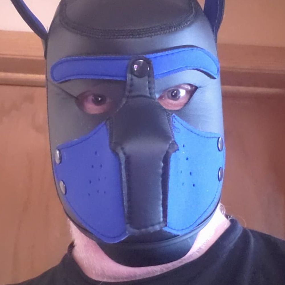 Pup Phoenix