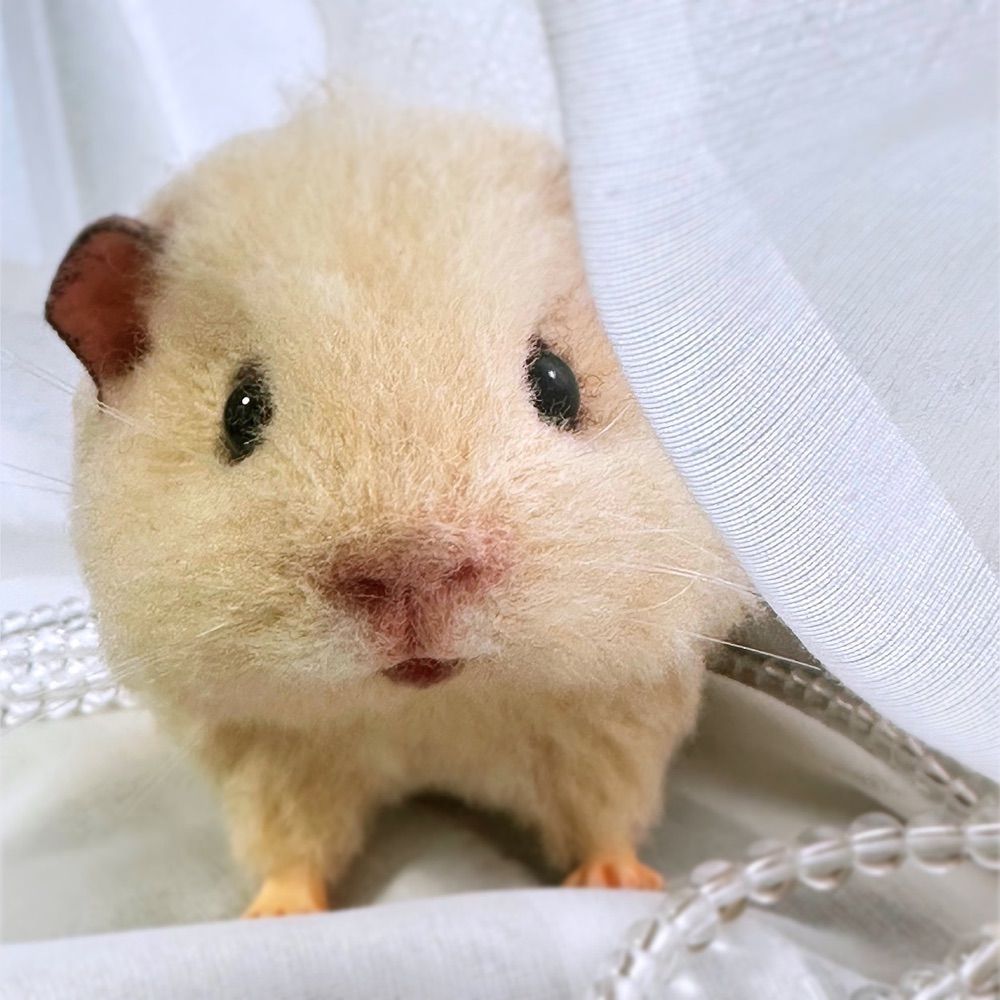 ぼんど