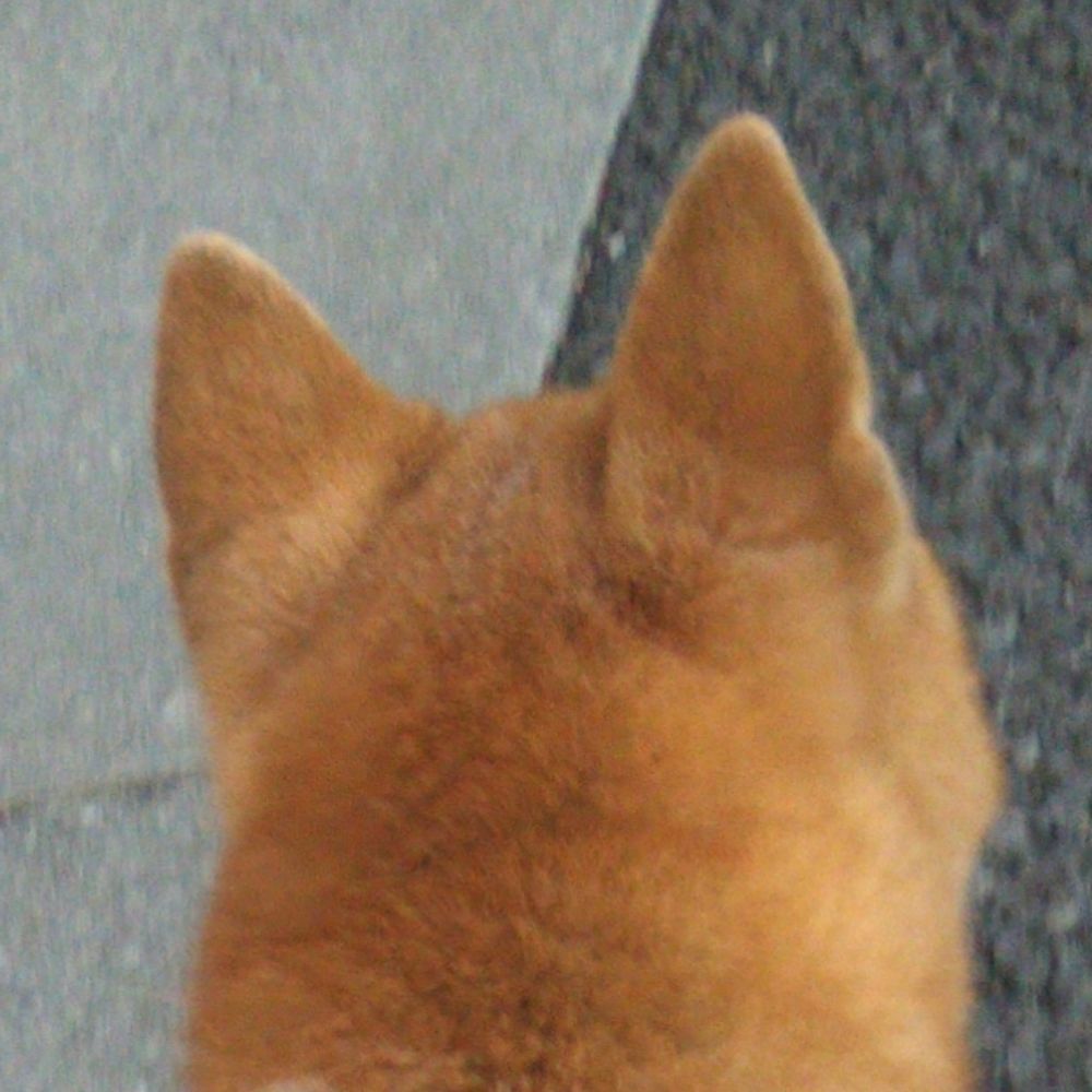 うめ