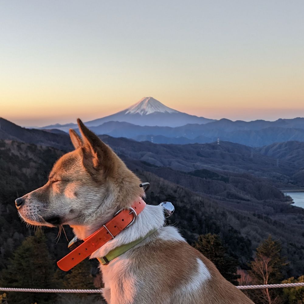 yama-scout