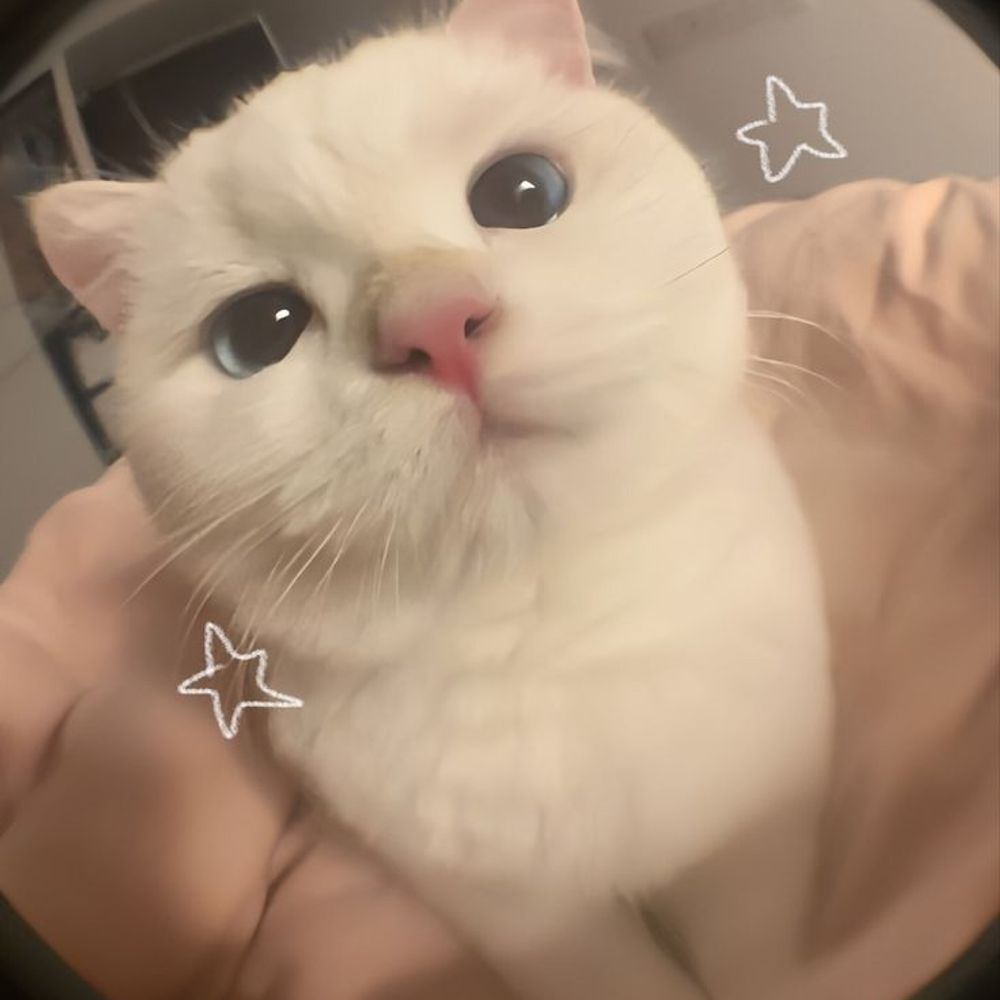 fani