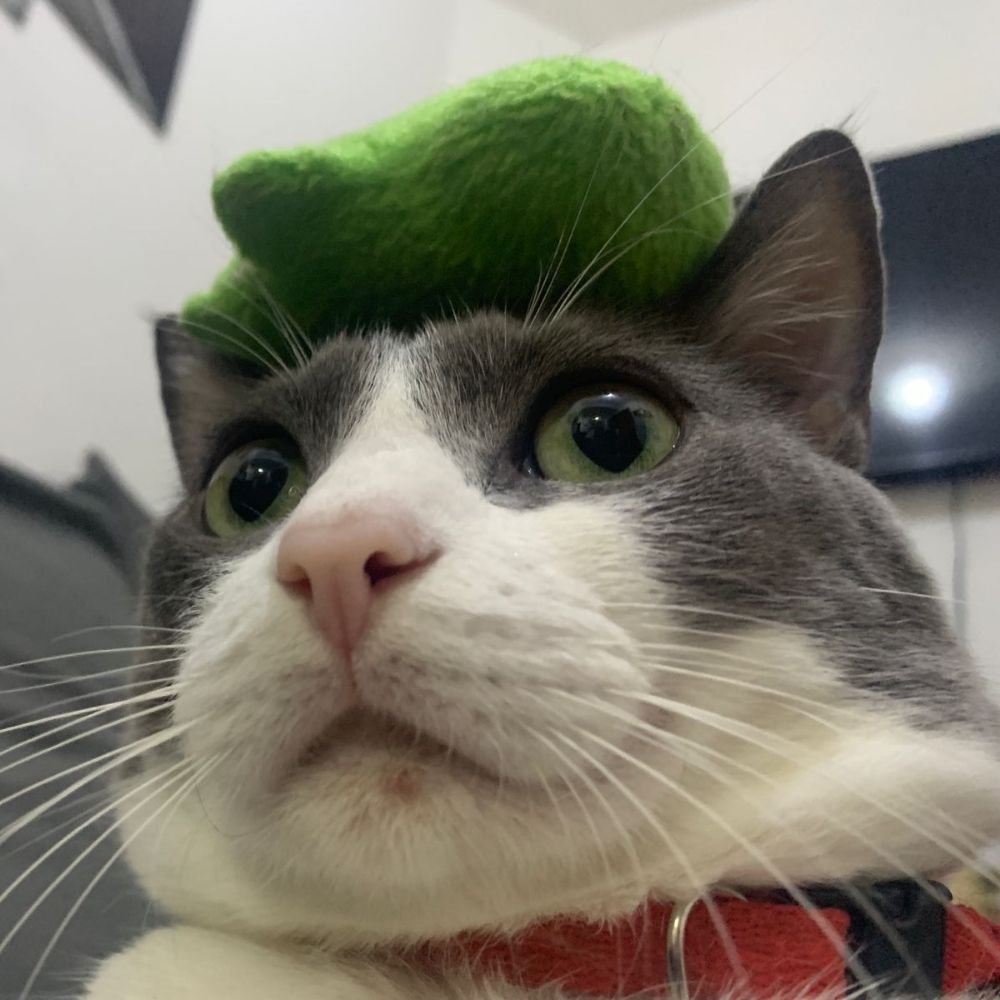✨LuLu✨