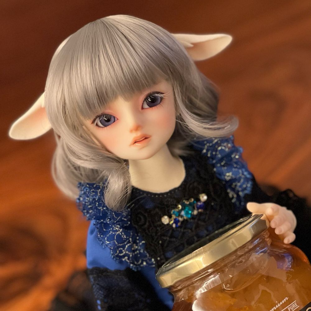 シャム🦋