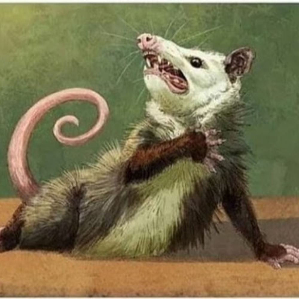 Mossback