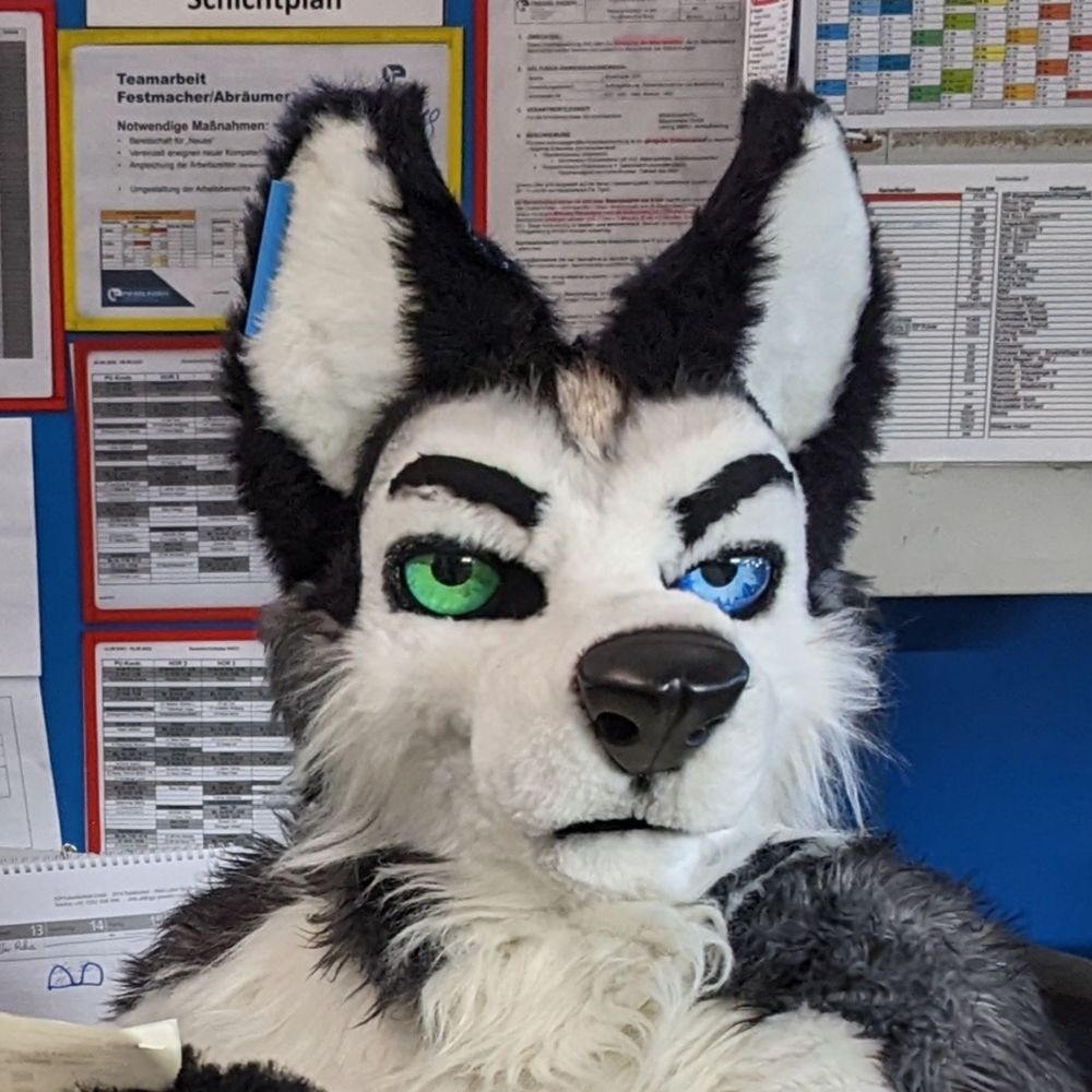 Glacier Dragon Husky 