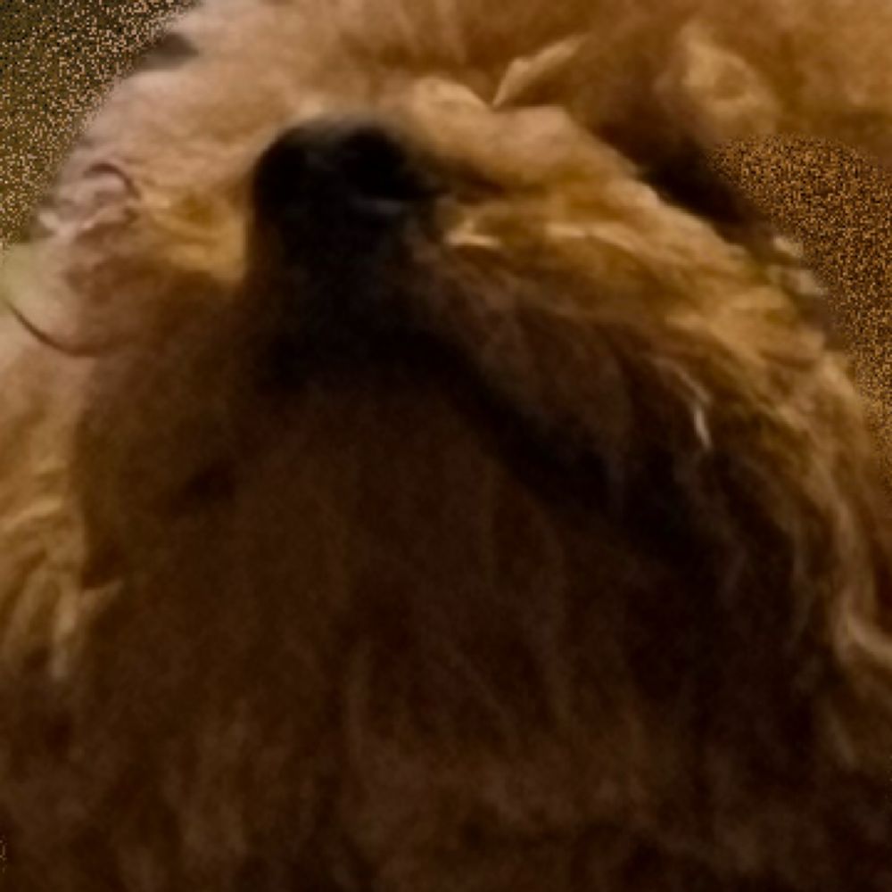 わぬ