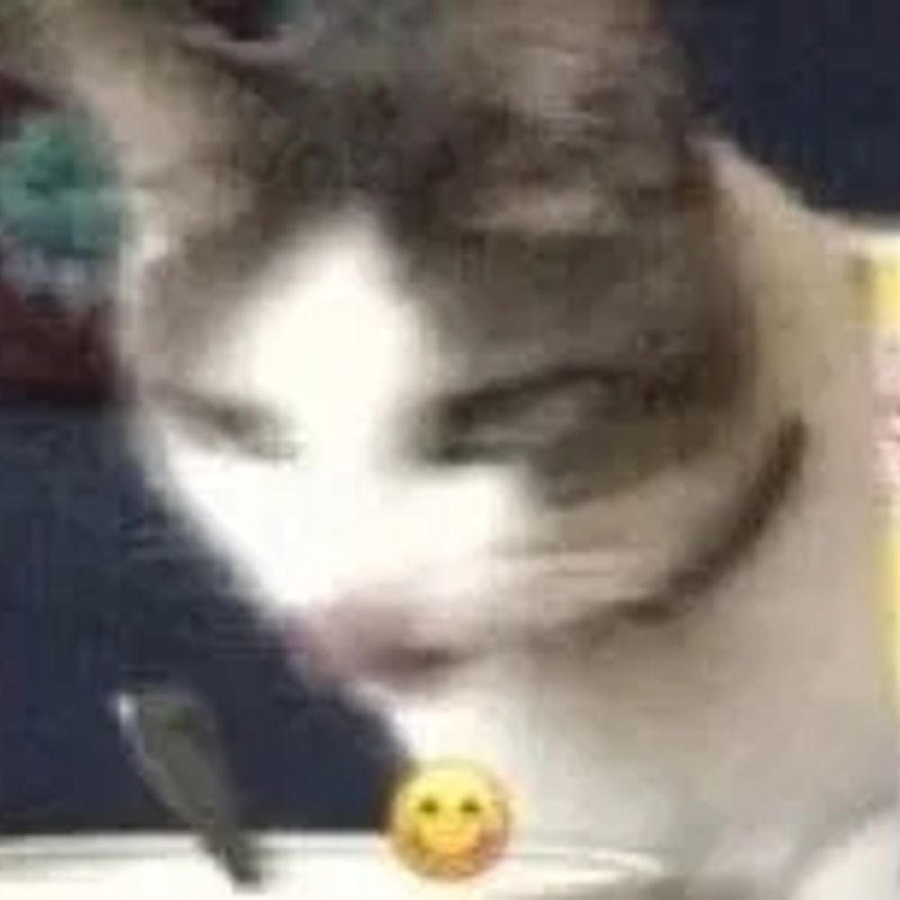 Notch