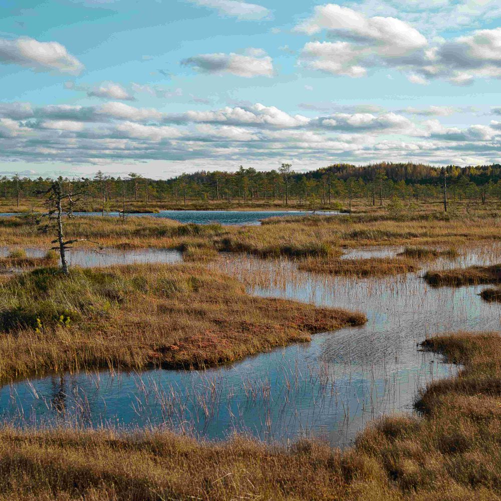 WaterLANDS H2020