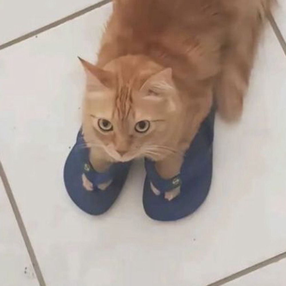mel