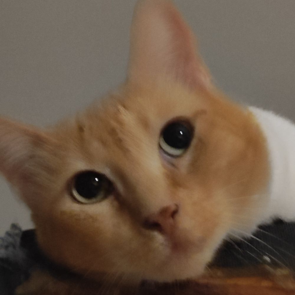 pê