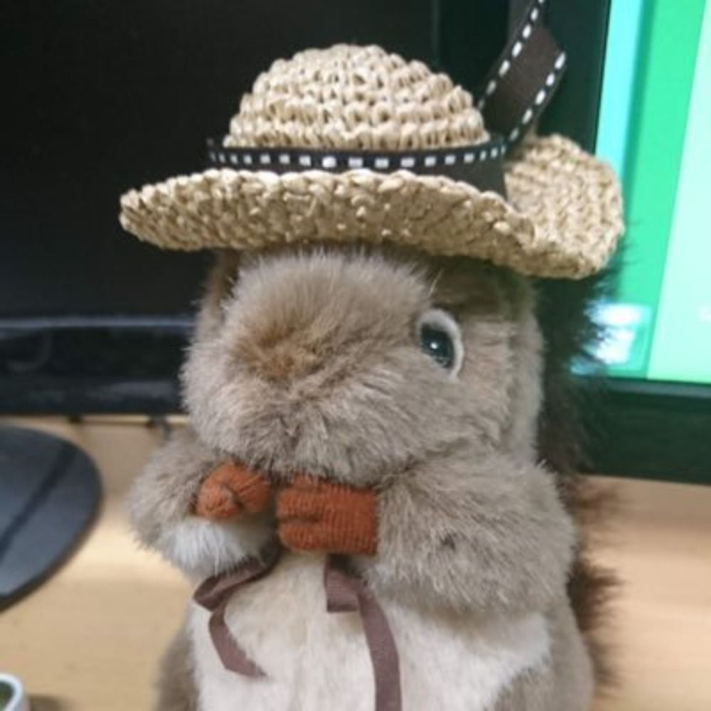 🐿🦋