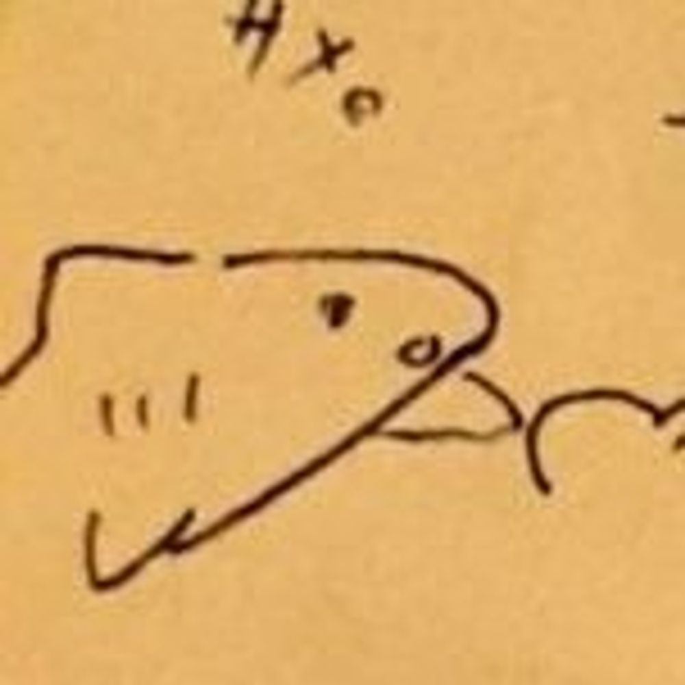 サメさん