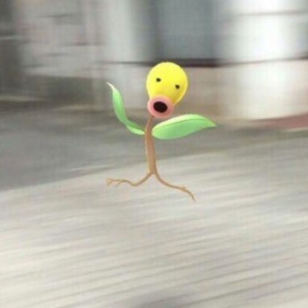 Bunsen
