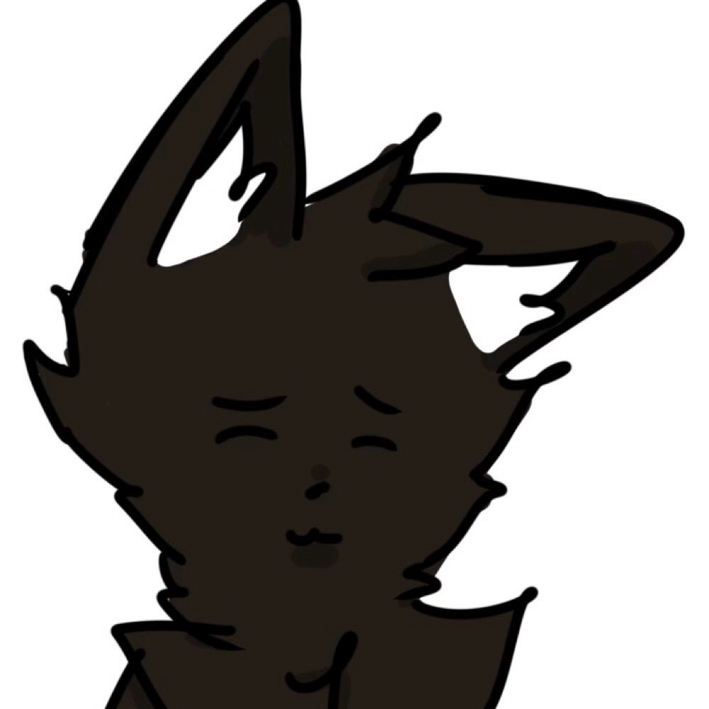 Coco_Cat
