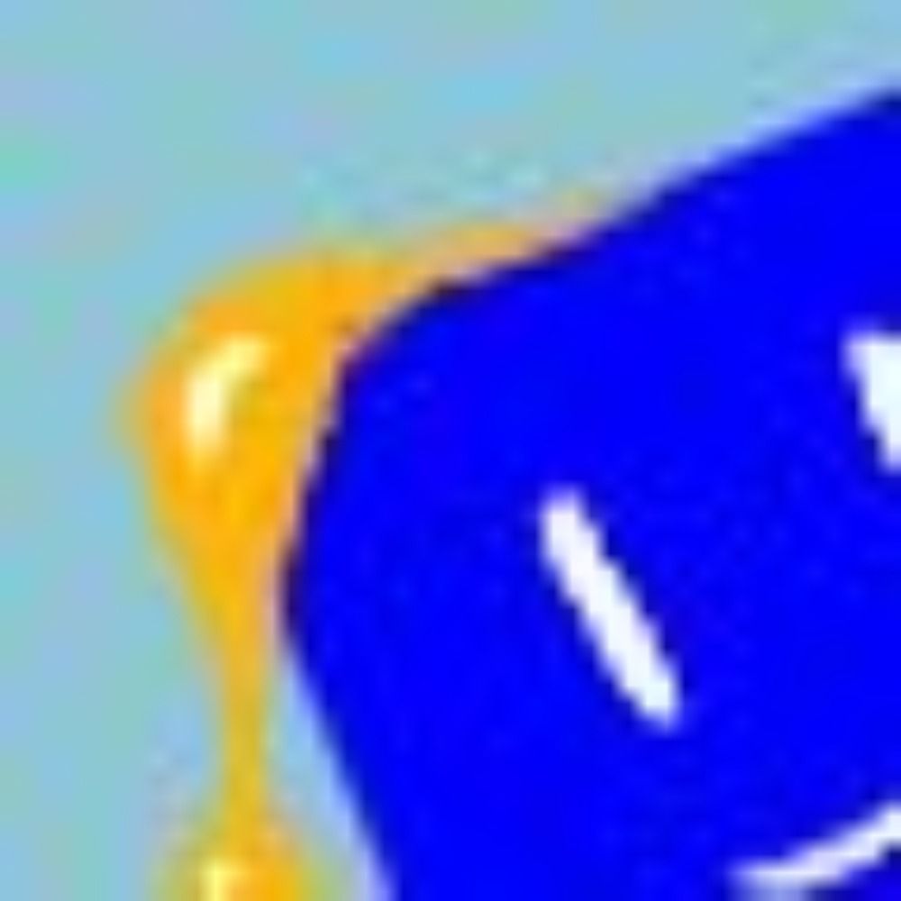 海月海月