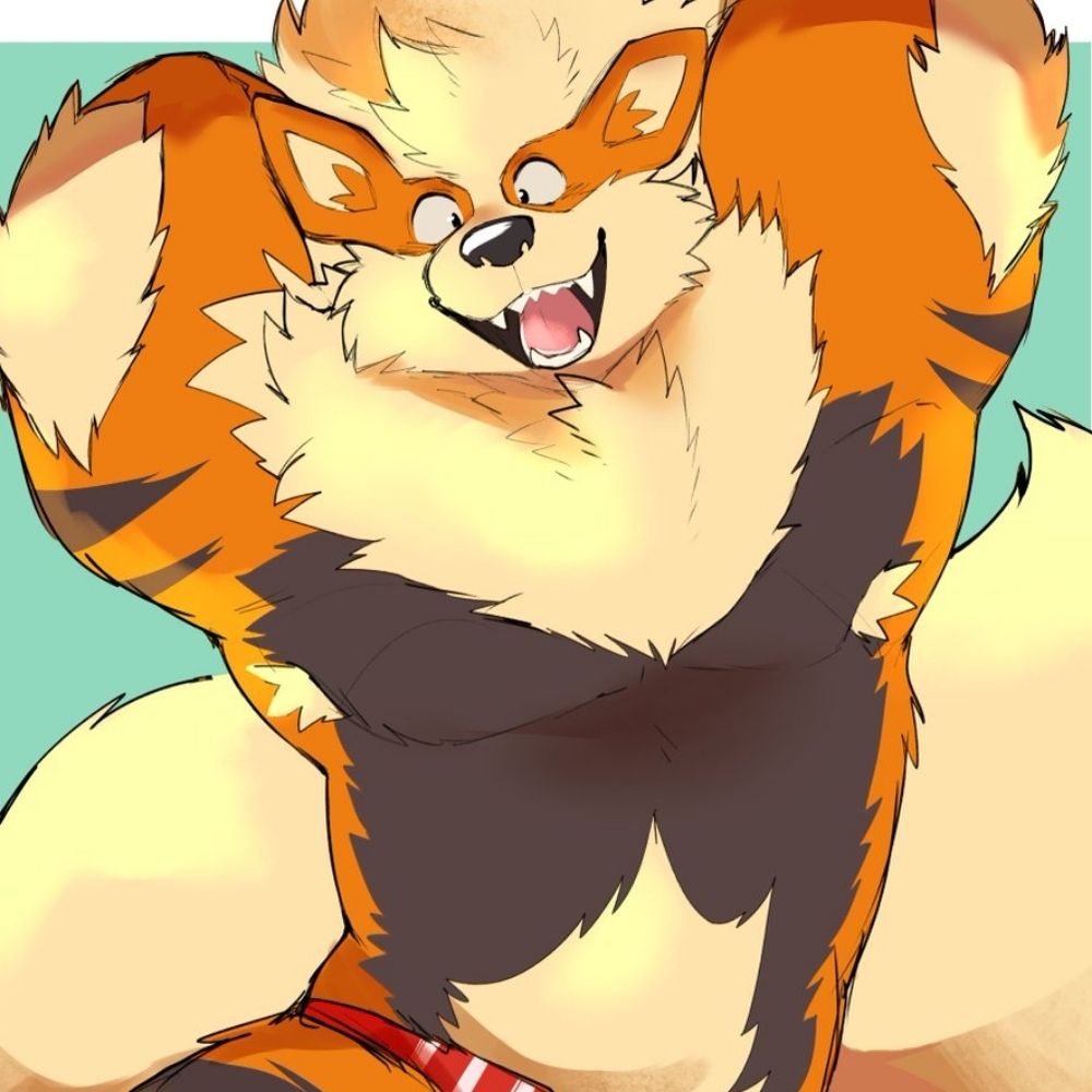 Ameruswolf