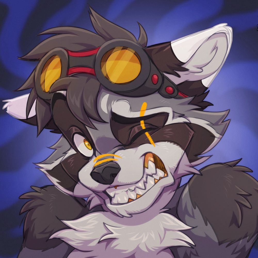 Shanukk🦝🇲🇽