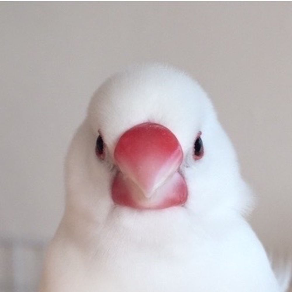 ふっきゅん