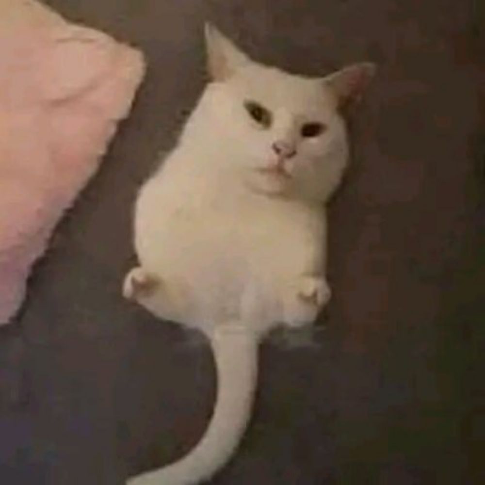 pingo 