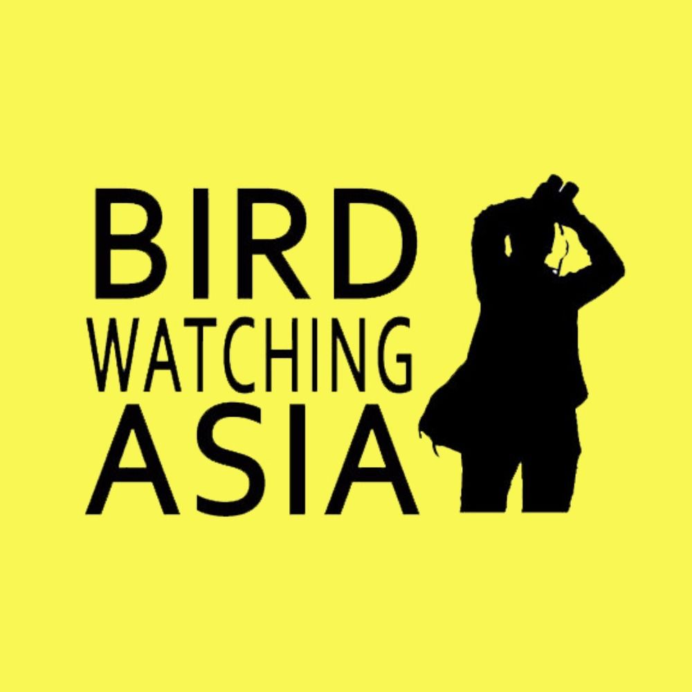 Birdwatching Asia