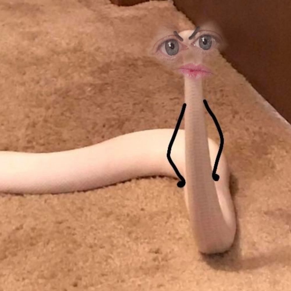 The Real LelaBelle