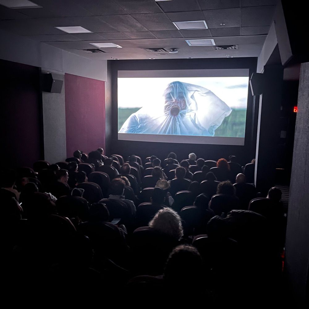 Daily Free Film Festivals