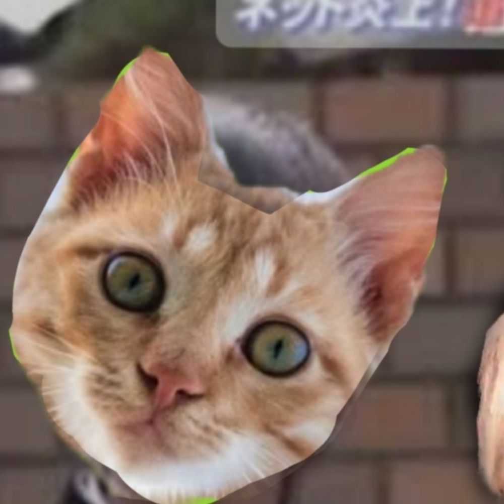 ひよっco