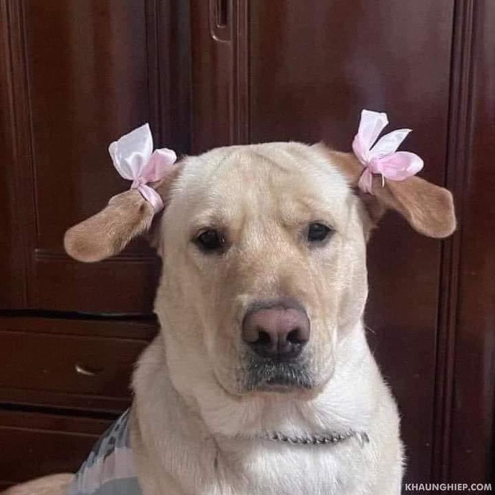 무루