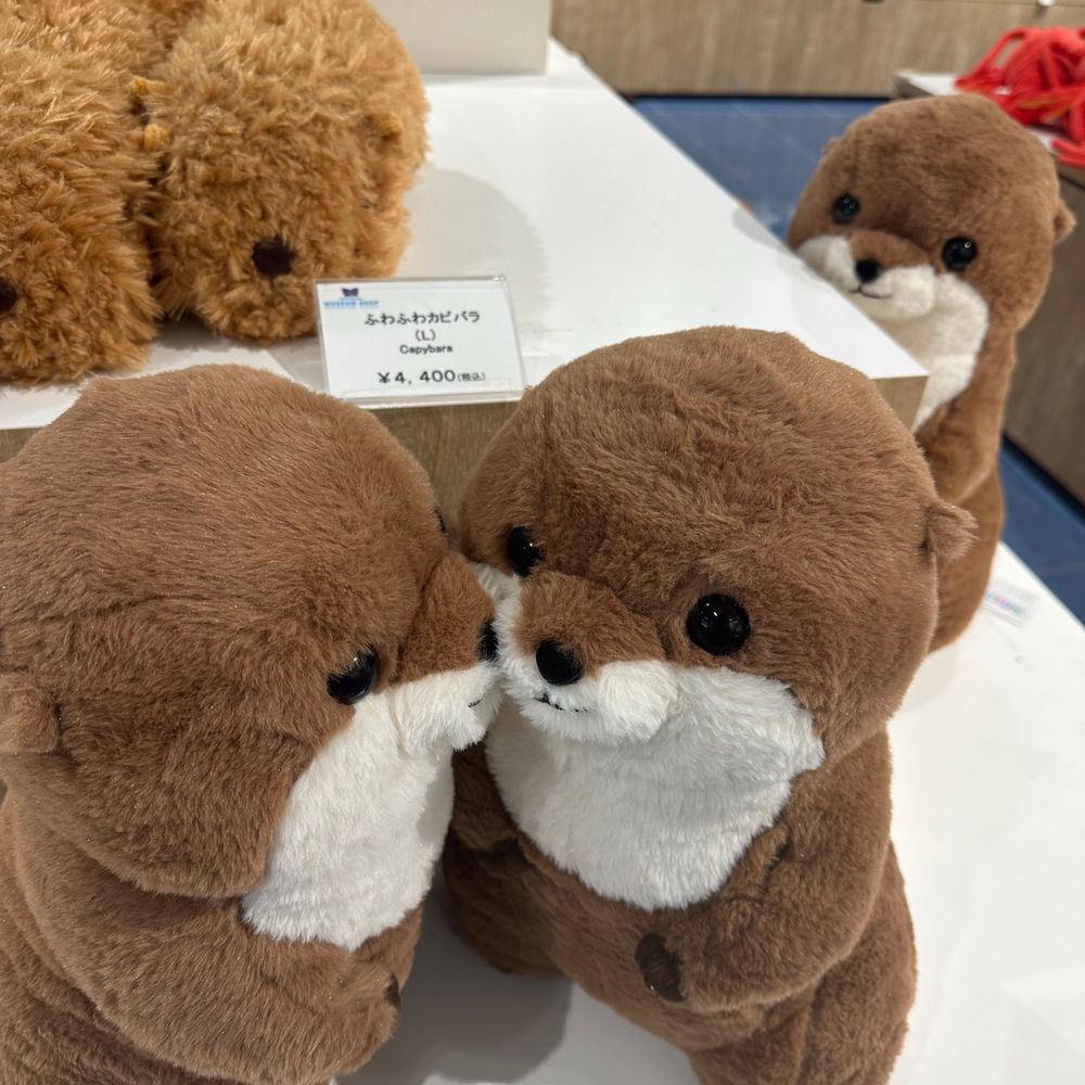 さっちー