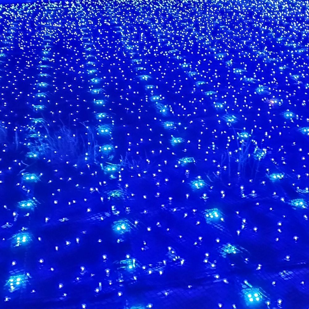気ままなsky