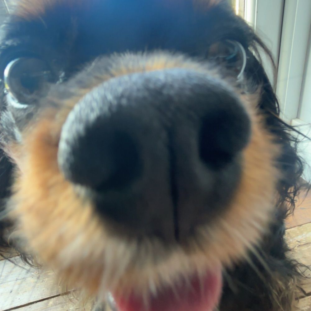 Maddie