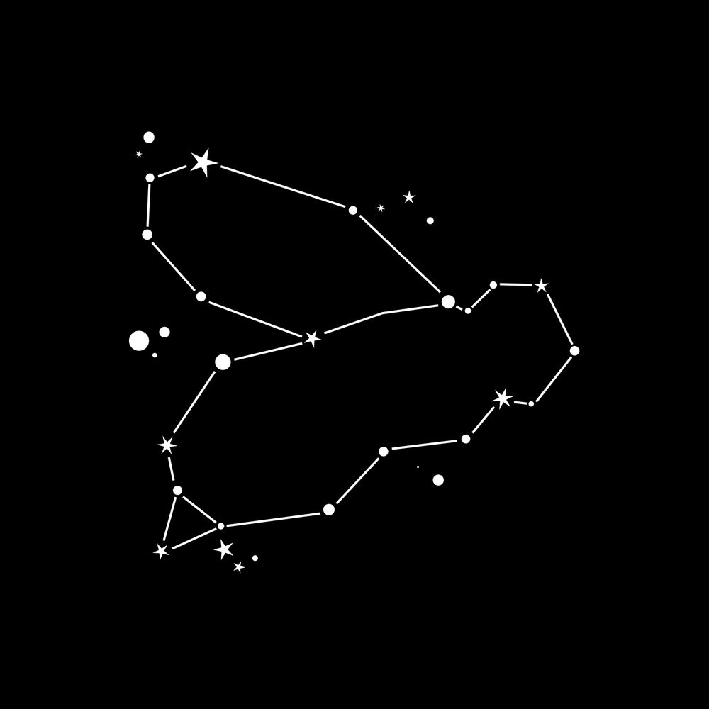 StarBee ✨