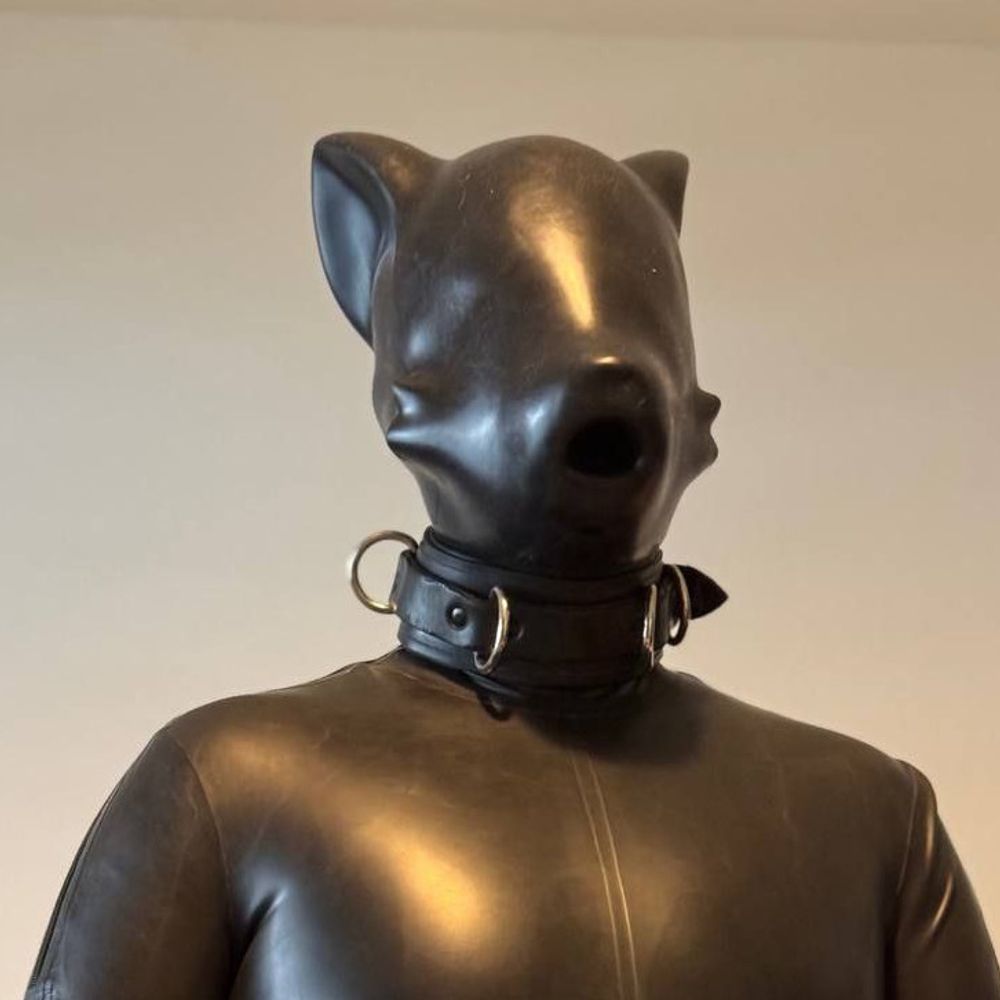 Renzo but horny