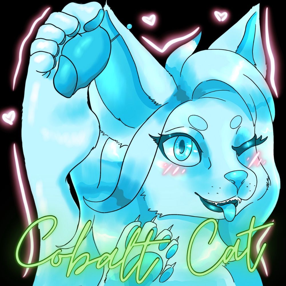 The Cobalt Cat! 🔞