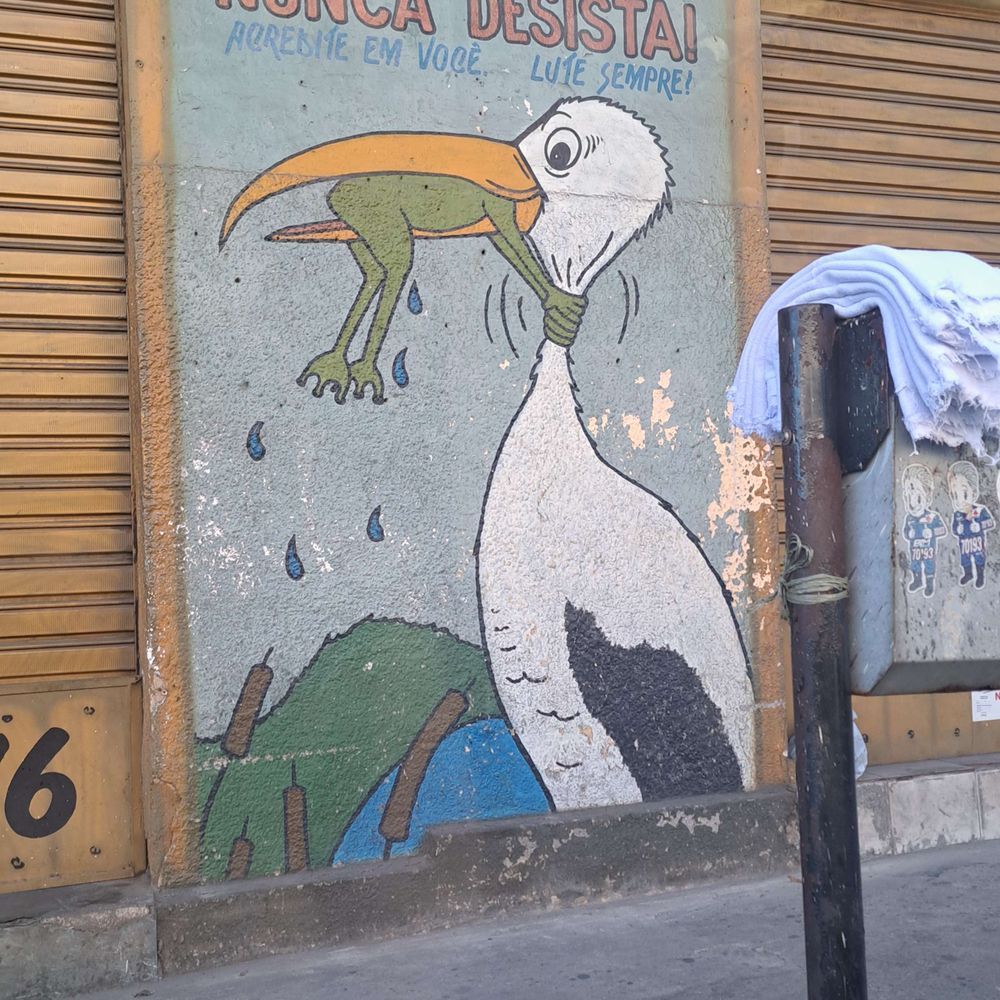 sacola biodeRASGÁVEL