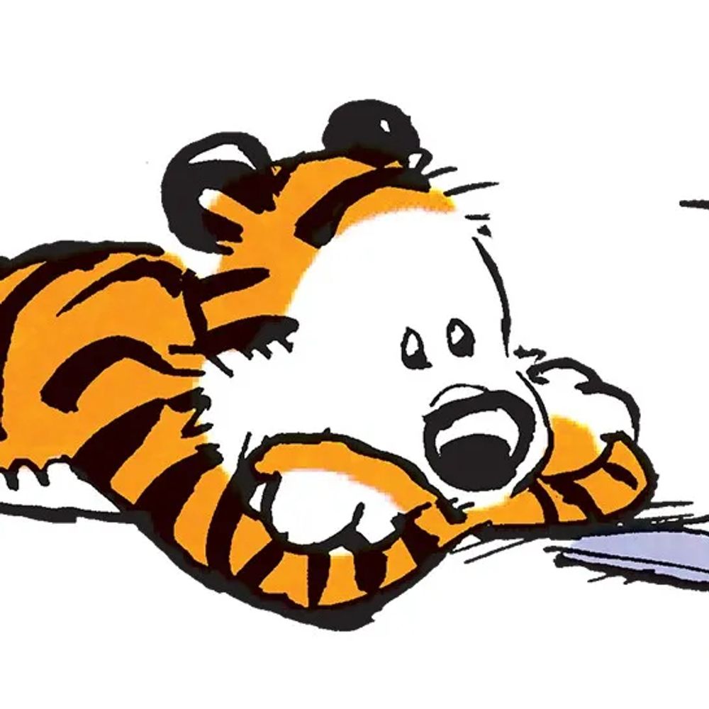 CALVIN AND HOBBES DAILY