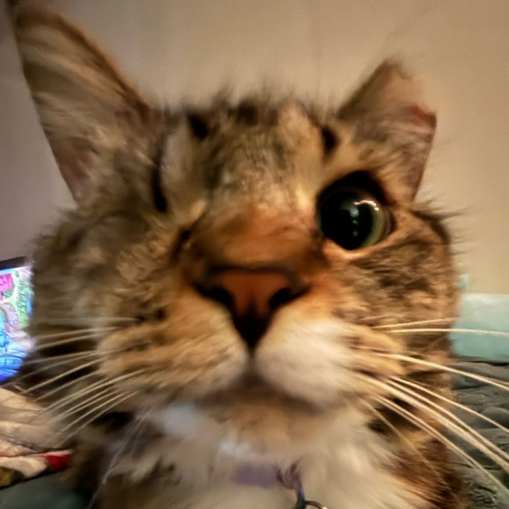 Roz