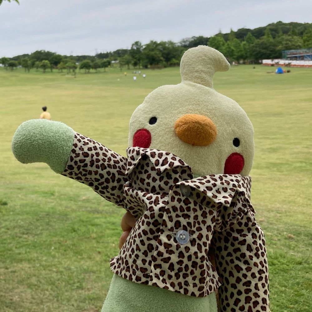 あやしま