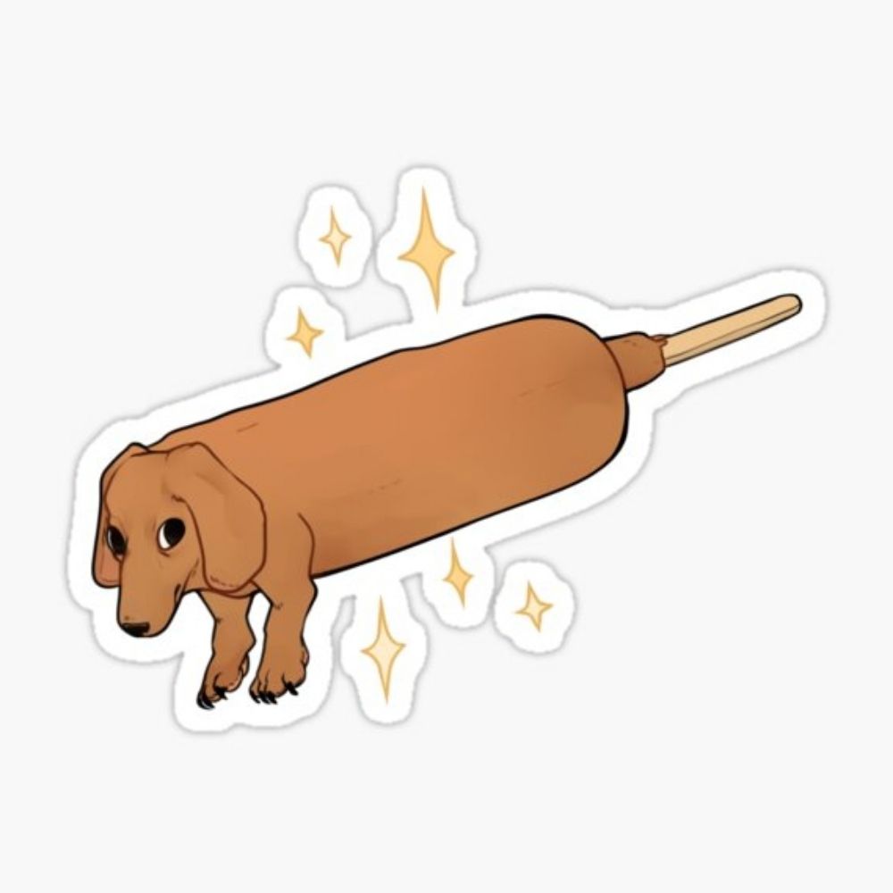 DOGTOY
