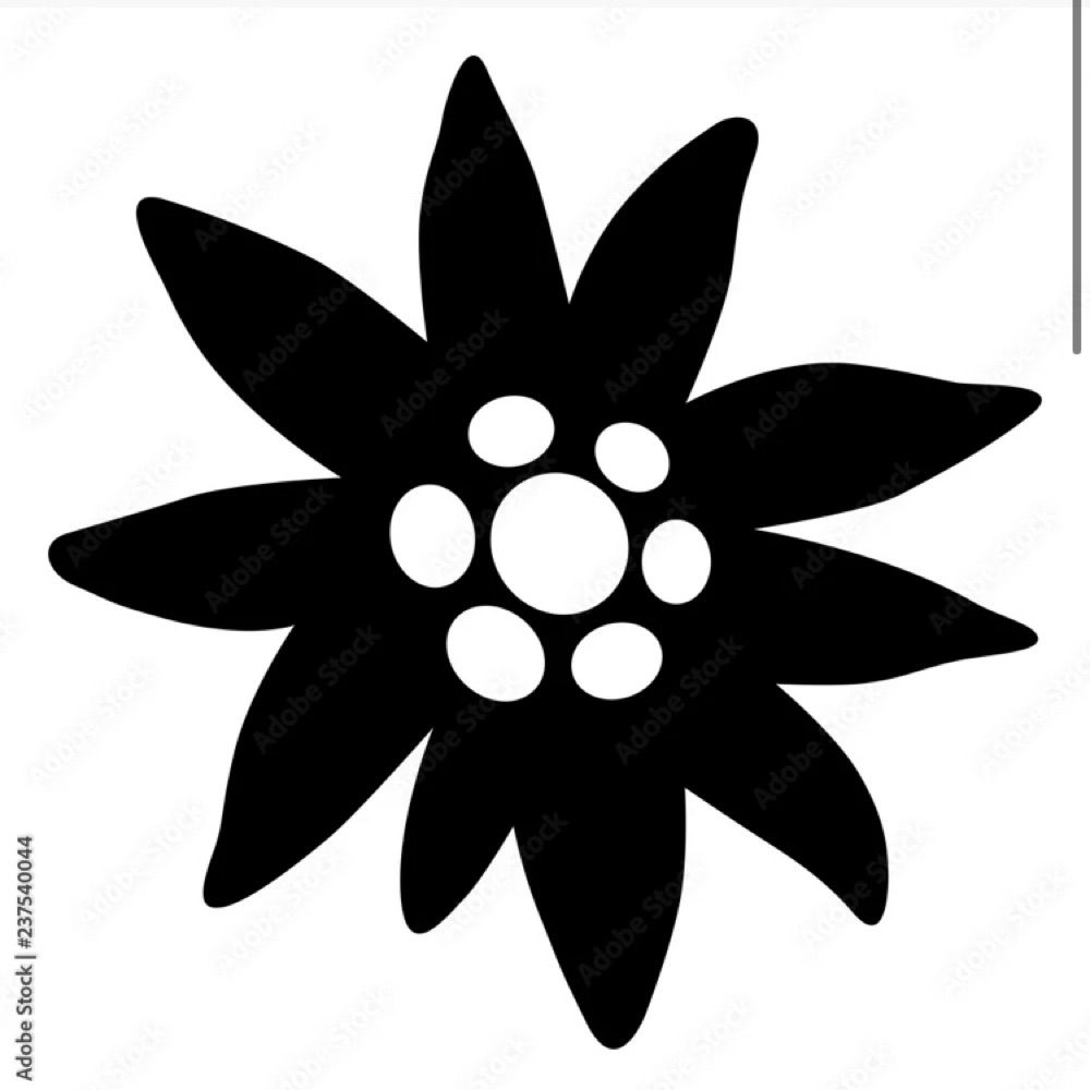 Black Edelweiss 🇨🇭