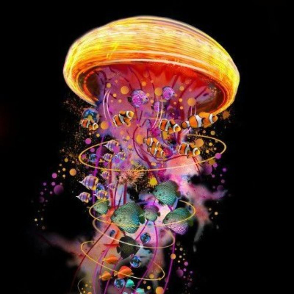 a wild jellyfish 🎐