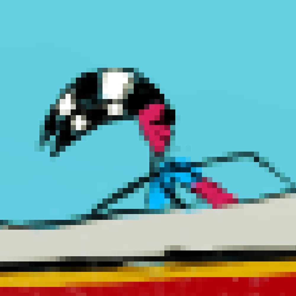 Velvet, Turtle