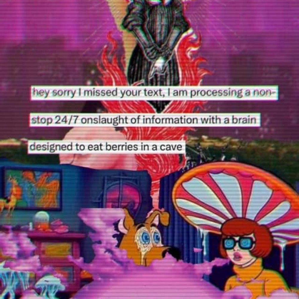 cassafrass